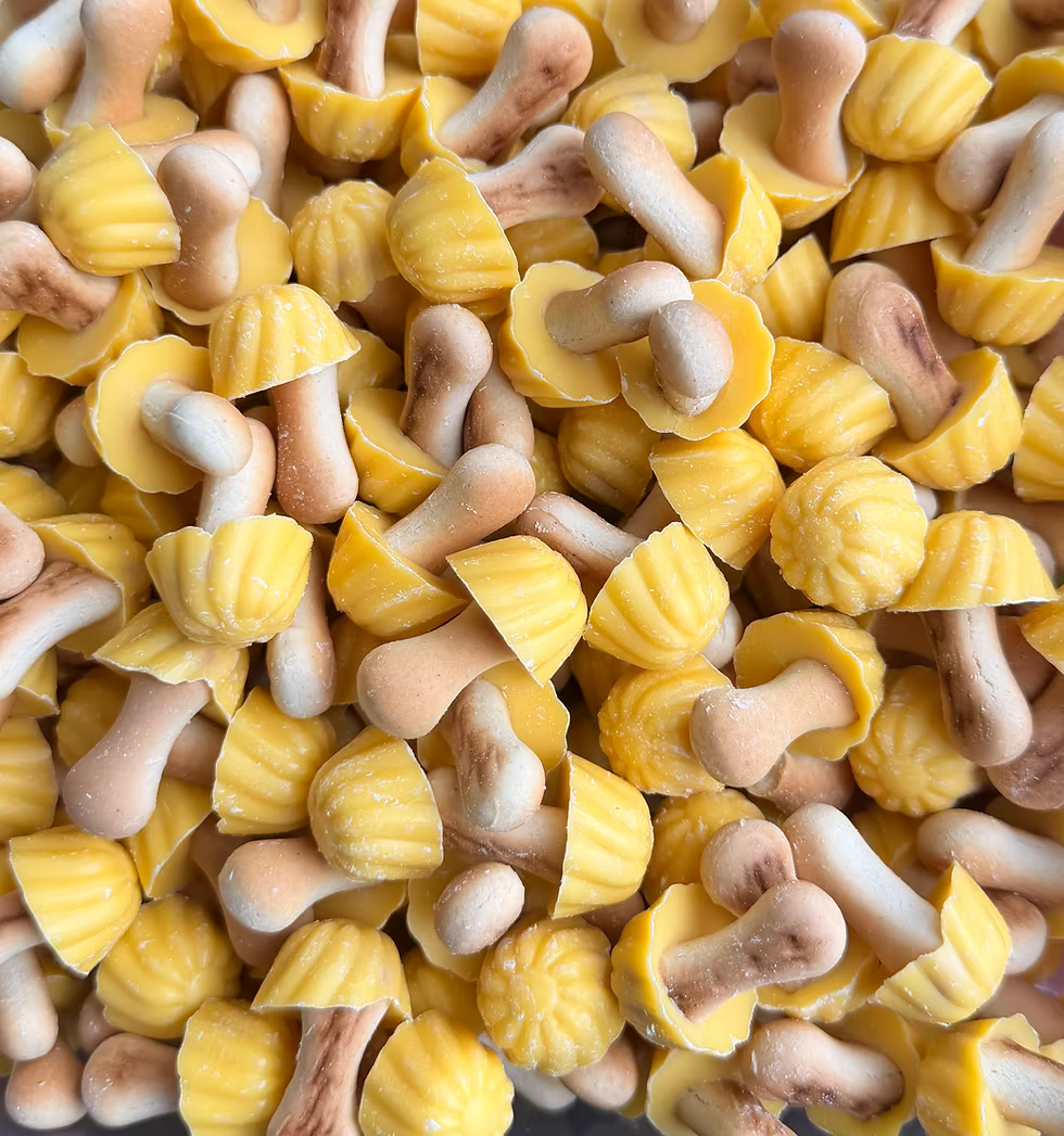 x 20 Champignons banane LOZANO