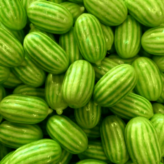 Melon chewing - gum FINI (90g)