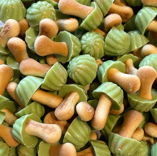 x 15 Champignons pistache LOZANO